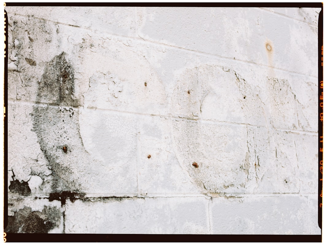 Mold Remediation service in Spartanburg, SC