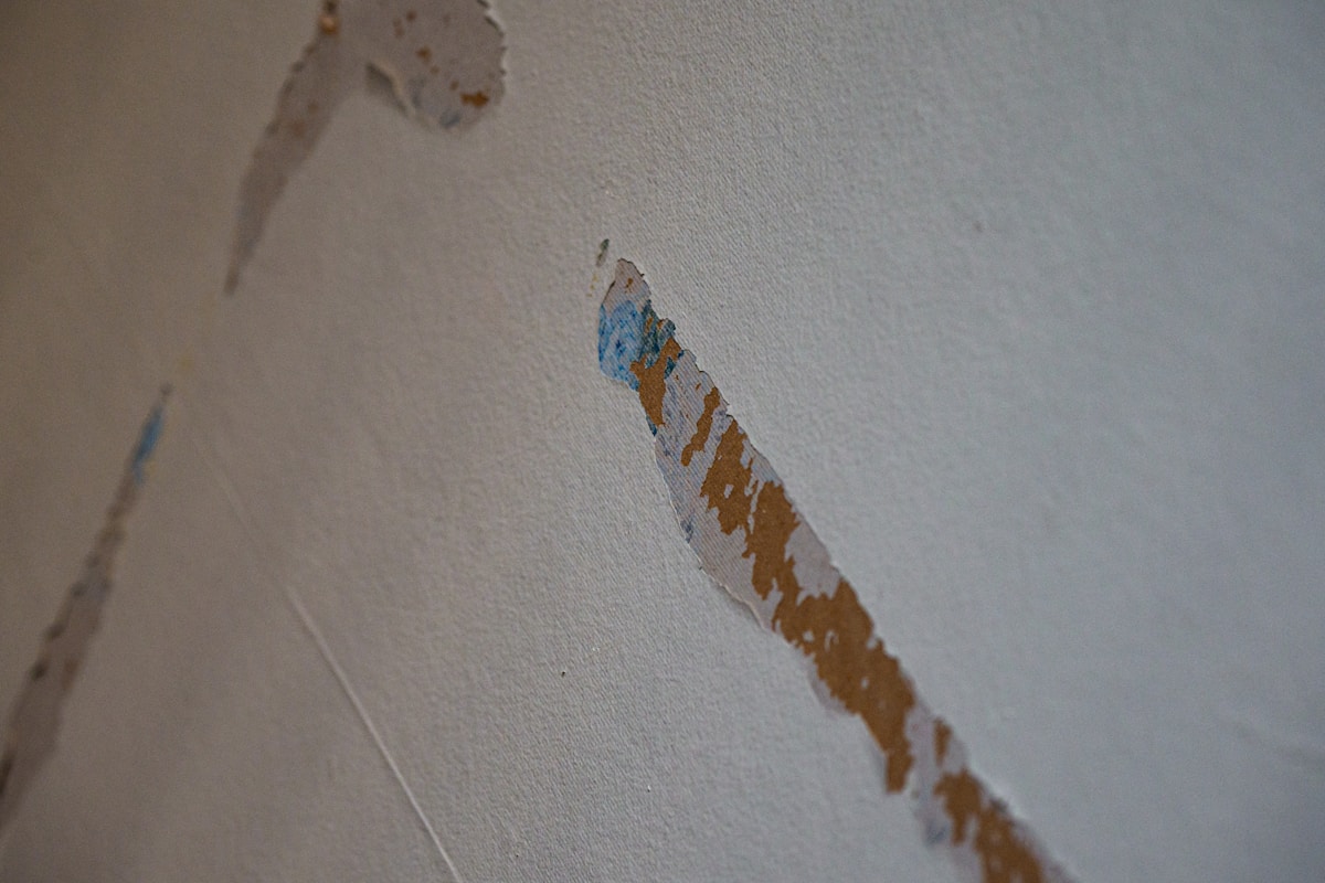 Storm Damage Repair service in Spartanburg, SC